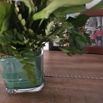 Elida's Flower - Old and curled leather leaf fern - Florists Near Me - La Mesa, California Elida's Flower - Old and curled leather leaf fern - Florists Near Me - La Mesa, California