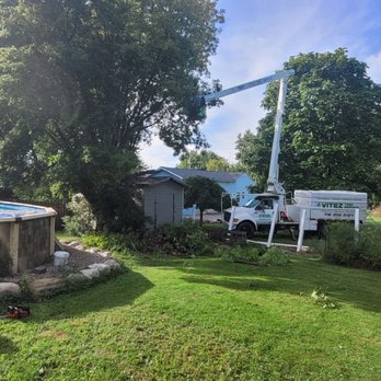 Vitez Tree Service - Tree Services Near Me - Elma, New York