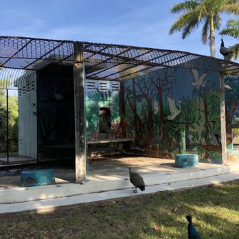 Crandon Park - Old zoo - Parks Near Me - Key Biscayne, Florida
