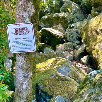 Sugarloaf Ridge State Park - Did not venture in here. The sign kept me away - Parks Near Me - Kenwood, California Sugarloaf Ridge State Park - Did not venture in here. The sign kept me away - Parks Near Me - Kenwood, California