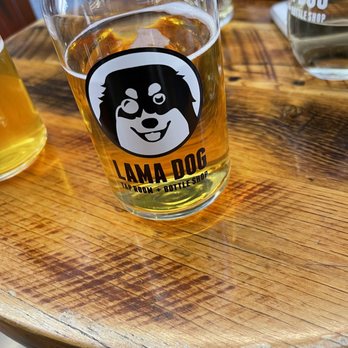 Lama Dog Tap Room - A beer ( Pilsner I believe, hard to remember) and a good time - Beer, Wine & Spirits Near Me - Santa Barbara, California Lama Dog Tap Room - A beer ( Pilsner I believe, hard to remember) and a good time - Beer, Wine & Spirits Near Me - Santa Barbara, California