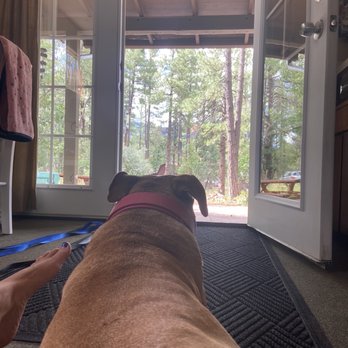Mountain Meadows Cabins - What a view - Hotels Near Me - Payson, Arizona