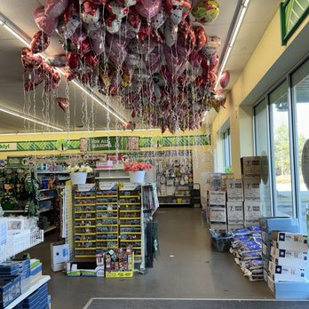 Dollar Tree - Many leftover Valentine's Day balloons ! - Discount Store Near Me - Chesnee, South Carolina