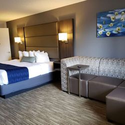 Best Western Dickson - King ADA