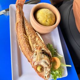Salty snapper Salty snapper