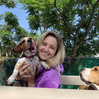RiverDog - Peabody - Auntie Jessica and two of our beautiful Beagle ladies  Cocoa Bean & Baby Ruby - Pet Boarding Near Me - Peabody, Massachusetts