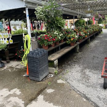 Red Top Farm Market - Fruits & Veggies Near Me - Vincentown, New Jersey Red Top Farm Market - Fruits & Veggies Near Me - Vincentown, New Jersey