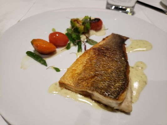 Drago Centro by null