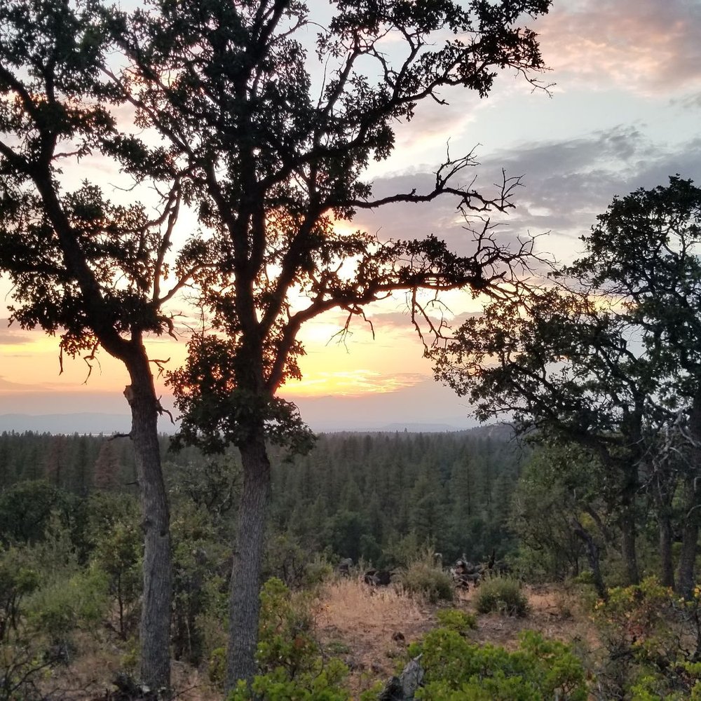 Lassen RV Resort - Sunset - RV Parks Near Me - McArthur, California Lassen RV Resort - Sunset - RV Parks Near Me - McArthur, California