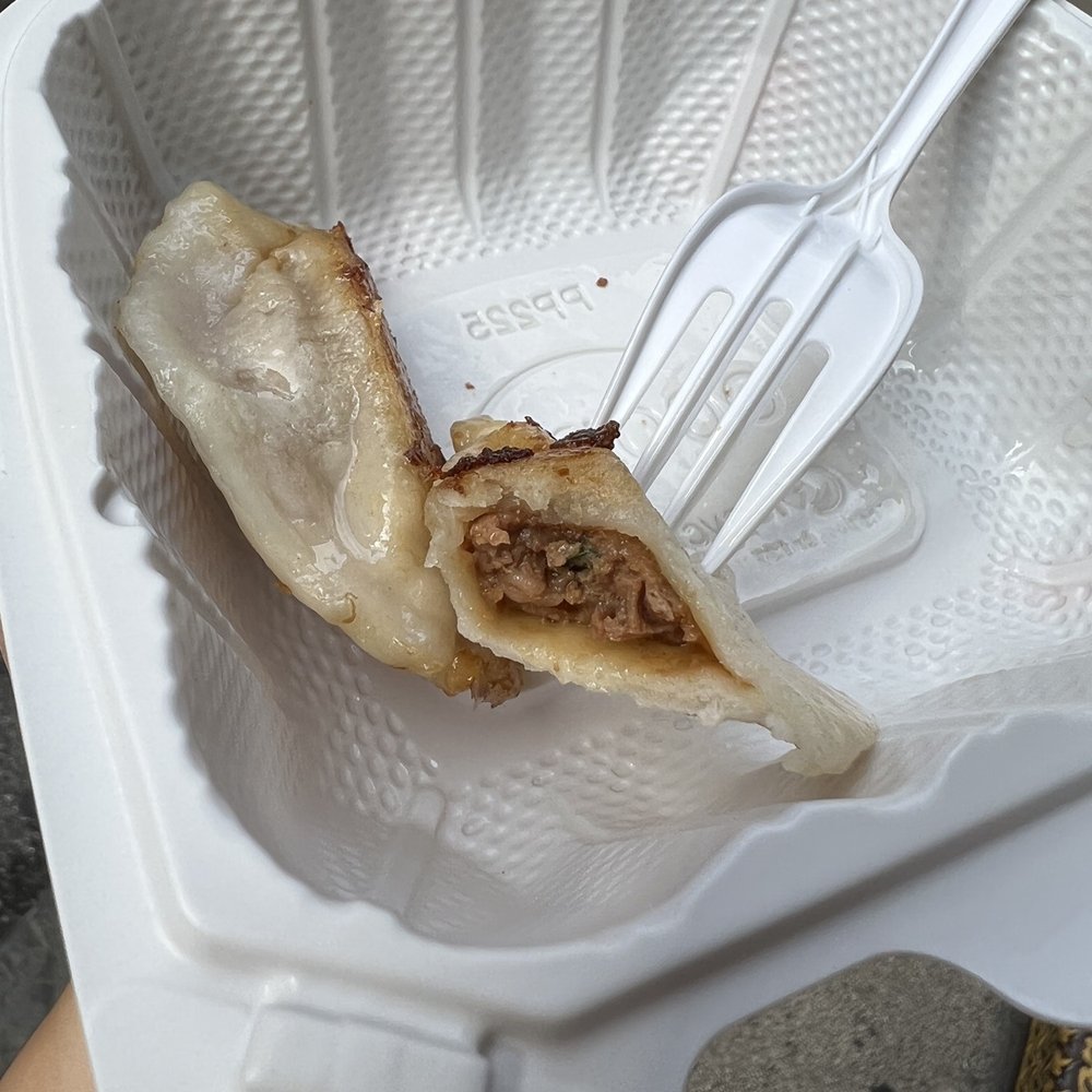 Fried Dumpling - Skin is too thick. The skin to meat ratio is way off! - Chinese Near Me - New York, New York