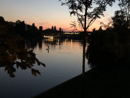 Alte Donau by null