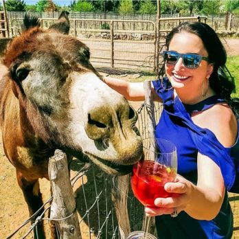 DA Ranch - Red Wine Sangria - Wineries Near Me - Cornville, Arizona