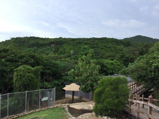 Shoushan Zoo by null