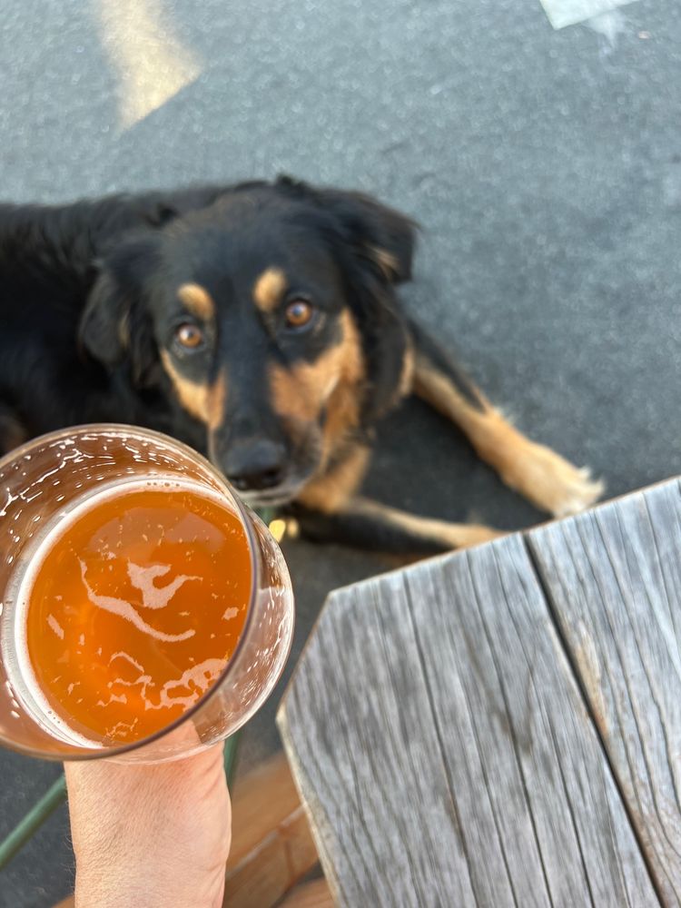 Mike Hess Brewing OB — Ocean Beach