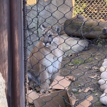 OC Zoo Irvine Regional Park - Parks Near Me - Orange, California OC Zoo Irvine Regional Park - Parks Near Me - Orange, California