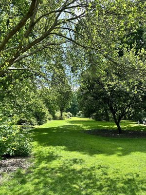Royal Botanic Garden Edinburgh by null