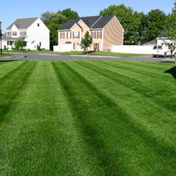 Natural Landscape Concepts - a green lawn in a residential neighborhood - Landscaping Near Me