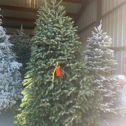 Bourdet's Christmas Trees