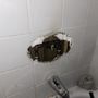 Photo of Y & L Plumbing Services
