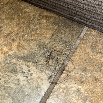 Kings Inn San Diego - Old nasty linty hairball from previous guests - San Diego, CA