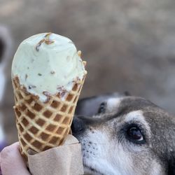 Ice Cream Air Stream - Pistachio single scoop in a cone