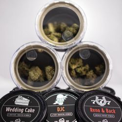 Oasis Cannabis Superstore
