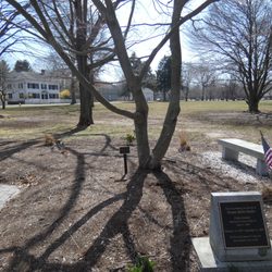 Dianne Bullis Snyder 9/11 Memorial