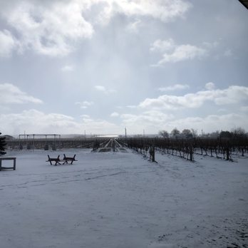 Lakeview Wine - Views of Lakeview Winery - Wineries Near Me - Niagara-on-the-Lake, Ontario Lakeview Wine - Views of Lakeview Winery - Wineries Near Me - Niagara-on-the-Lake, Ontario