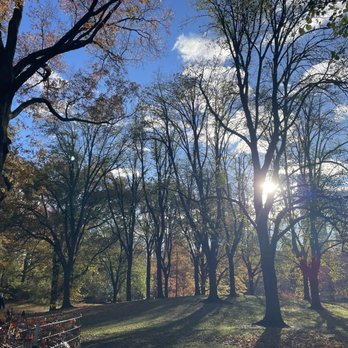 Central Park - Parks Near Me - New York, New York Central Park - Parks Near Me - New York, New York