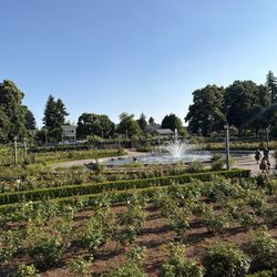 Peninsula Park - The Rose Garden