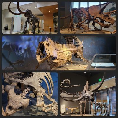 North Dakota Heritage Center & State Museum by null