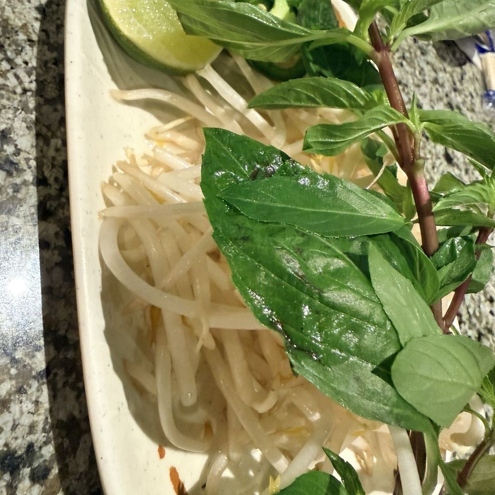 Pho Saigon 8 - Vietnamese Near Me - Las Vegas, Nevada Pho Saigon 8 - Vietnamese Near Me - Las Vegas, Nevada