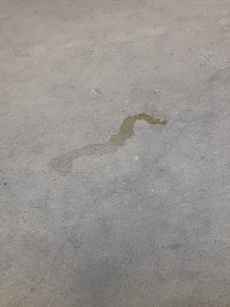 LAUREL POINT APARTMENTS Updated September 2024 13 Reviews 13607