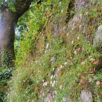 Quinta da Regaleira - I love this - Landmarks & Historical Buildings Near Me - Sintra, 11 Quinta da Regaleira - I love this - Landmarks & Historical Buildings Near Me - Sintra, 11