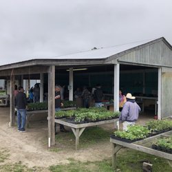 Henley Farms
