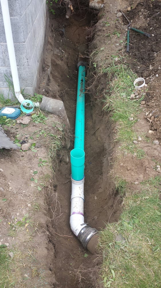 Slide of Gray's Rooter