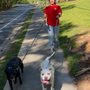 Photo of Georgia Pet Pal