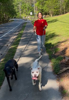 Pet Care - Just a few photos of us providing pet care to the community!