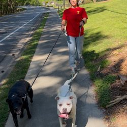 Georgia Pet Pal