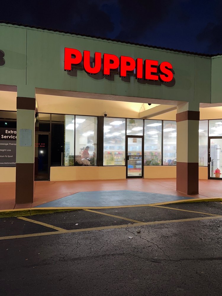 Chews A Puppy Image