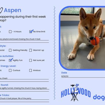 Dogdrop - Pet Boarding Near Me - Los Angeles, California Dogdrop - Pet Boarding Near Me - Los Angeles, California