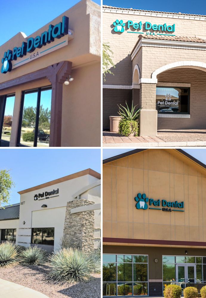 Pet Dental USA Image