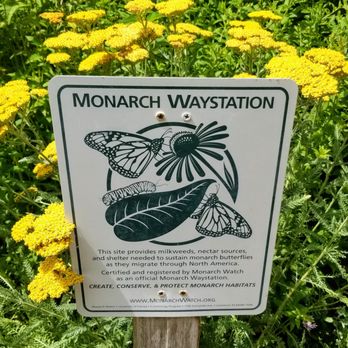 ABQ BioPark Botanic Garden - Monarch Waystation - Botanical Gardens Near Me - Albuquerque, New Mexico ABQ BioPark Botanic Garden - Monarch Waystation - Botanical Gardens Near Me - Albuquerque, New Mexico