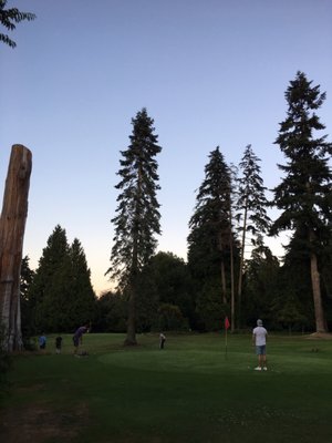 Stanley Park Pitch & Putt by null