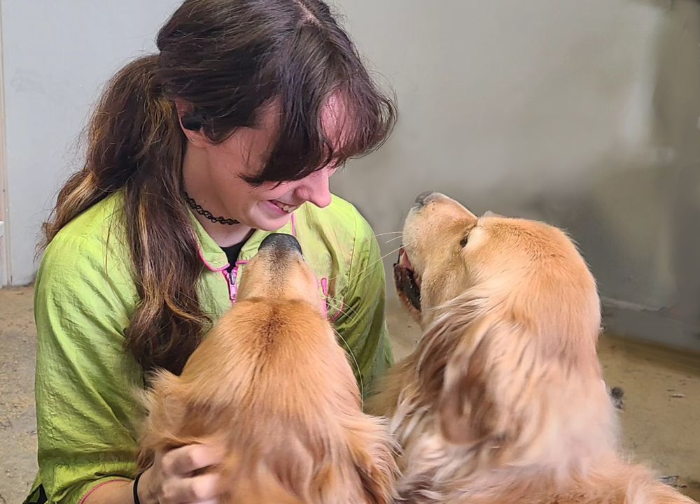 Wonder Pawz - pet boarding facility in Catskill, NY