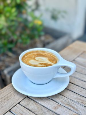 Rose Park Roasters by null