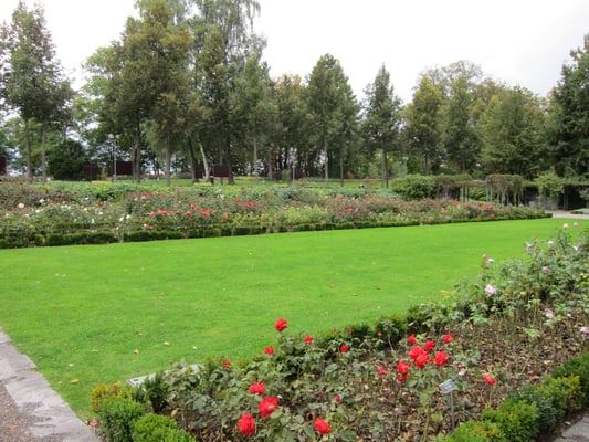 Restaurant Rosengarten by null