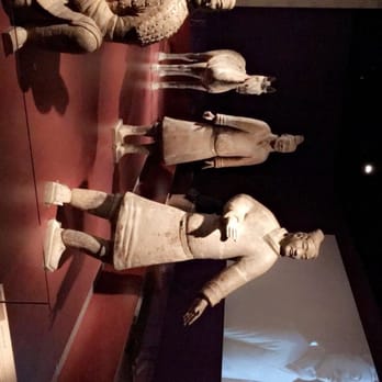 Field Museum - Museums Near Me - Chicago, Illinois Field Museum - Museums Near Me - Chicago, Illinois