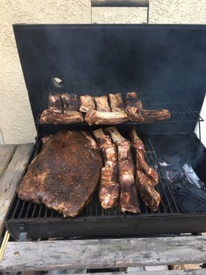 Rabbi's Daughter by null