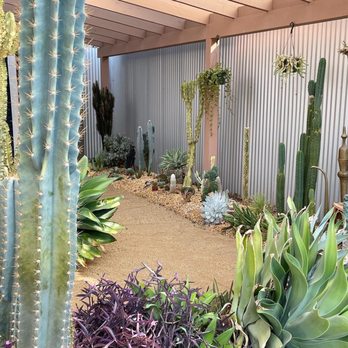 The Prickly Pear - The Prickly Pear garden - Nurseries & Gardening Near Me - Sacramento, California The Prickly Pear - The Prickly Pear garden - Nurseries & Gardening Near Me - Sacramento, California